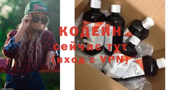 крисы Няндома
