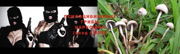 крисы Няндома