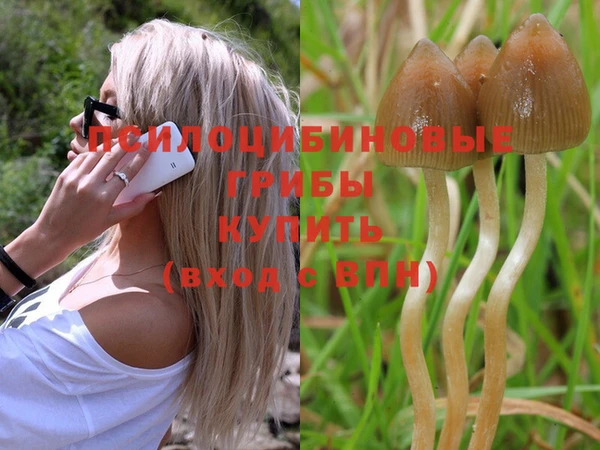 крисы Няндома
