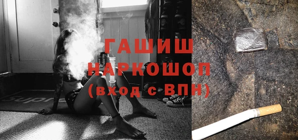 крисы Няндома