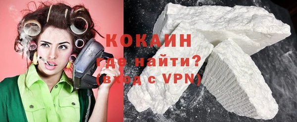 крисы Няндома