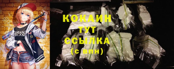 крисы Няндома