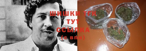 крисы Няндома