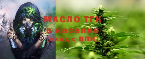 крисы Няндома